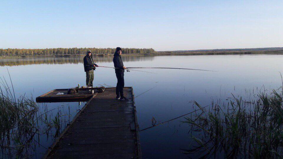 Рыбалка селигер базы. Полуостров на Селигере. Глубина Селигера в нижних Котицах. Рыбалка на Селигере с проживанием. Дударня Селигер.